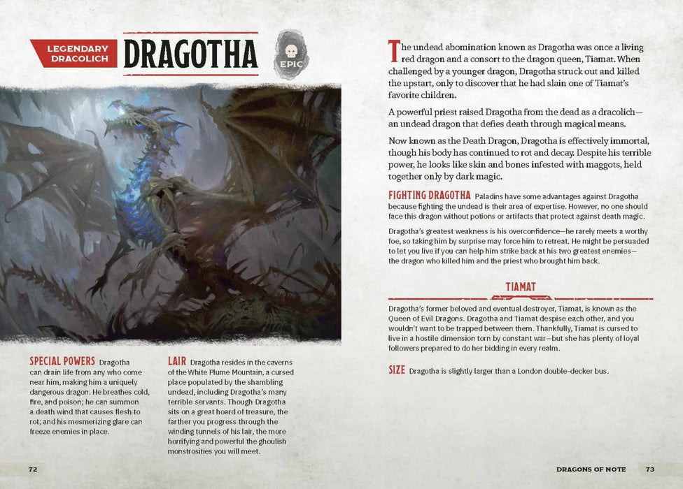 Dungeons & Dragons Dragons & Treasures - Zub Jim UUTUUS 2022! - Tarotpuoti