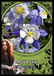 Flower Magic Oracle cards - Tarotpuoti