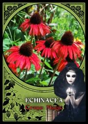 Flower Magic Oracle cards - Tarotpuoti