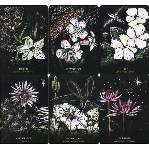 Flowers Of The Night Oracle - Cheralyn Darcey - Tarotpuoti