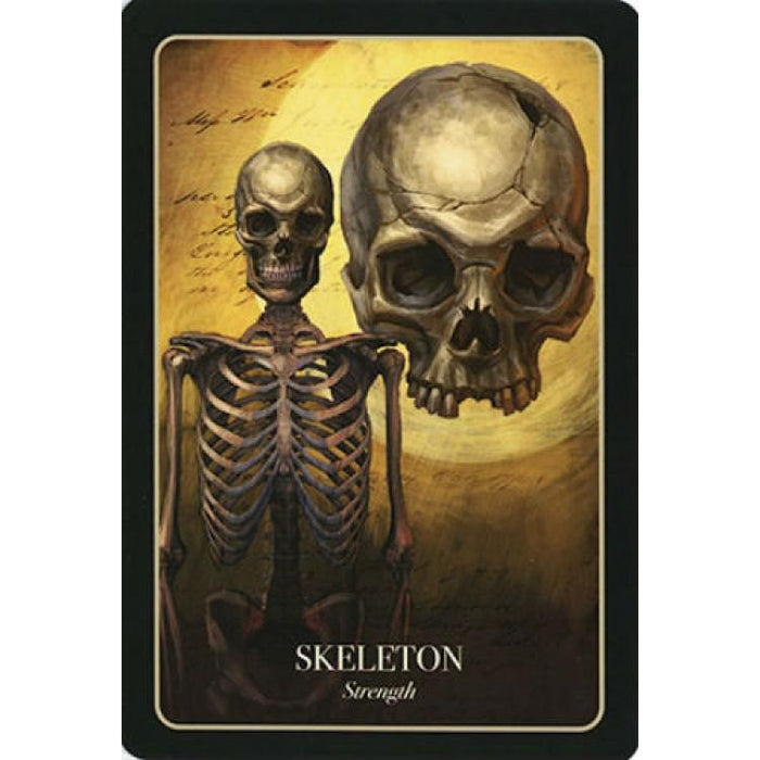 Halloween Oracle deck - Tarotpuoti