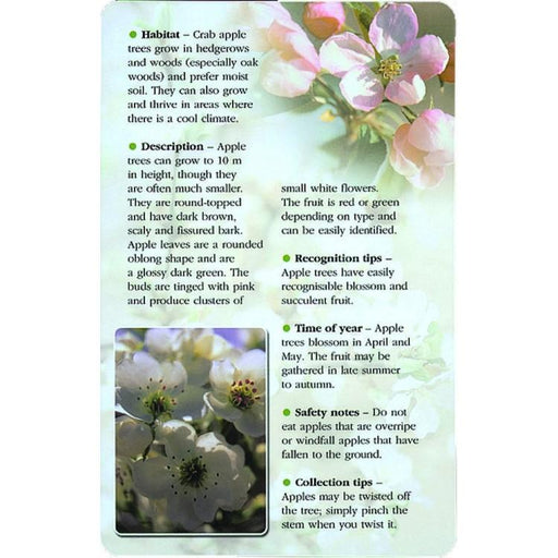 Herbal Recognition cards - Tarotpuoti
