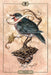 Hush Tarot - Jeremy Hush - Tarotpuoti