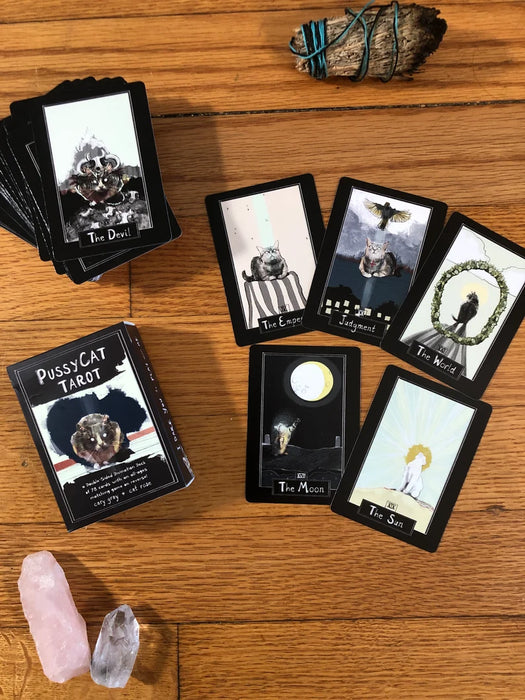 Pussycat Tarot: a 78-card Tarot Deck with Matching Game on Reverse! - Cary Gray (Indie Import)