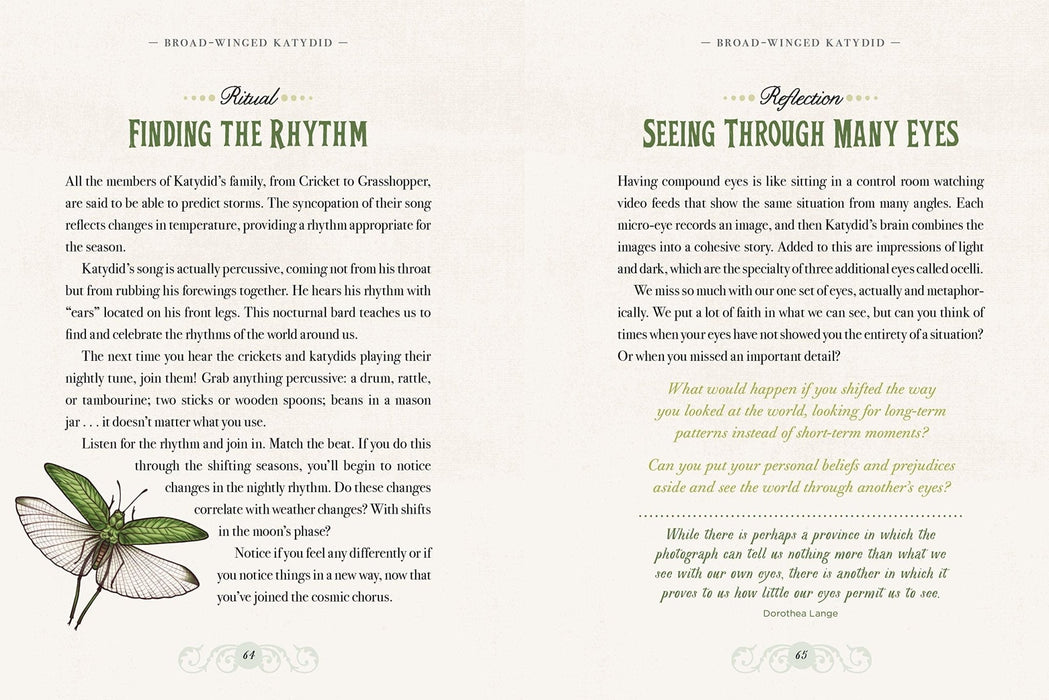 Illustrated Bestiary Guidance And Rituals From 36 Inspiring Animals illustrated-bestiary-guidance-and-rituals-from-36-inspiring-animals
