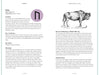 In Focus Runes: Your Personal Guide - Jan Bukowski - Tarotpuoti