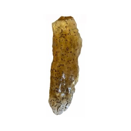 Kopaali meripihka Copal amber raakapala sisällä hyönteisiä n3x10cm n.45g - Tarotpuoti
