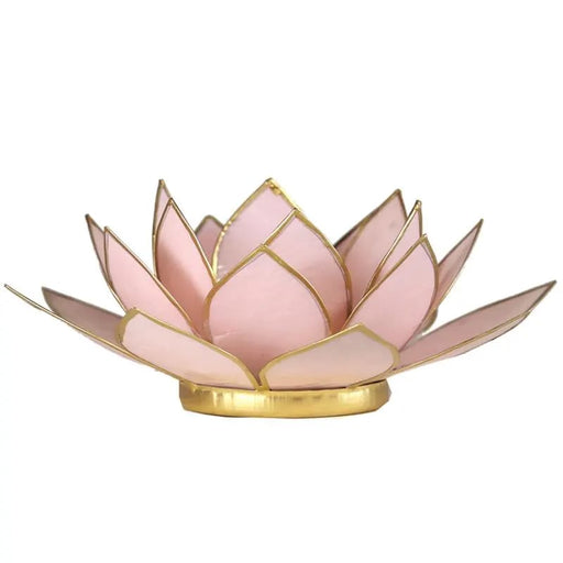 Lotus kynttilälyhty pastellinpinkki, kultainen reunus - Tarotpuoti