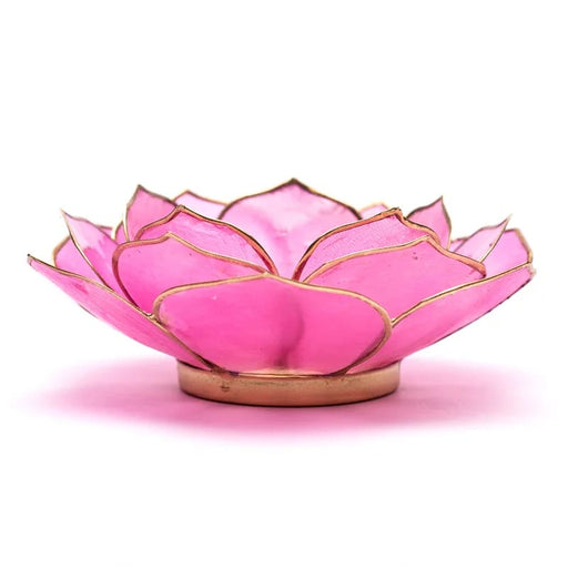 Lotus kynttilälyhtypetal pinkki kultareunus - Tarotpuoti