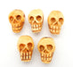 Luusta kaiverrettu pääkallohelmi - Carved Bone Shaped Top Drilled Bead - Tarotpuoti
