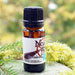 Magiapuodin kukkatipat 10ml - Sysimaa - Tarotpuoti