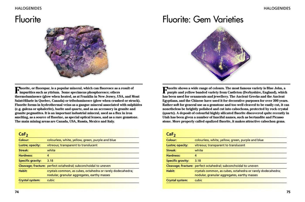 Minerals and Gemstones: 300 of the Earth's Natural Treasures - David C Cook - Tarotpuoti