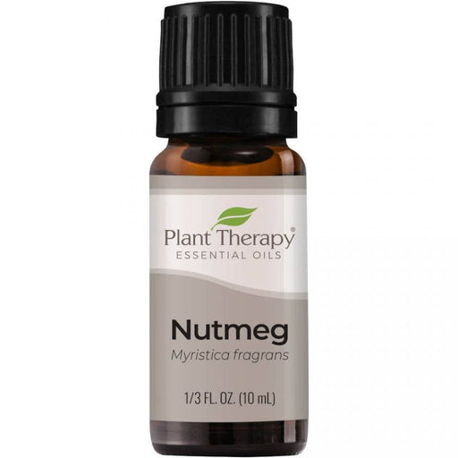 Nutmeg Essential Oil 10ml - Plant Therapy - Tarotpuoti