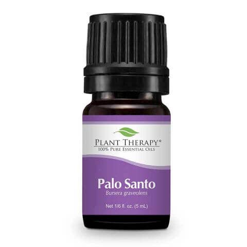 Palo Santo Essential Oil 5 ml - Plant Therapy - Tarotpuoti