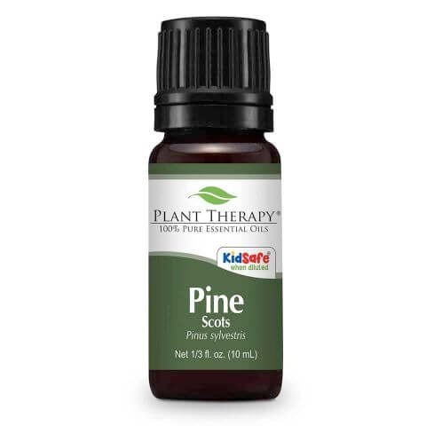 Pine Scots eteerinen öljy 10ml - Plant Therapy - Tarotpuoti