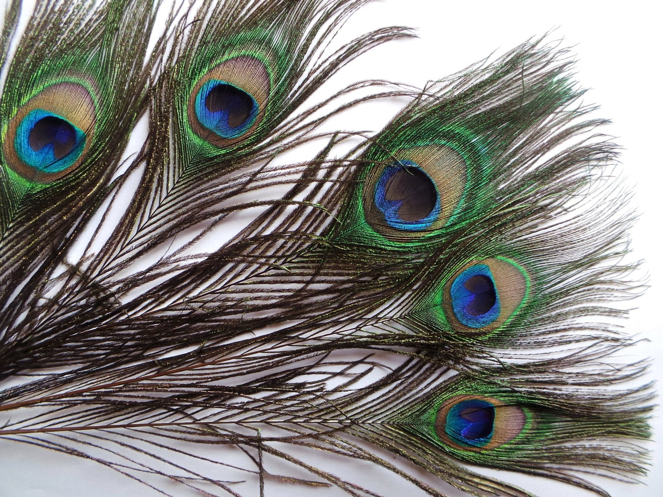 Magia ja salatieteet