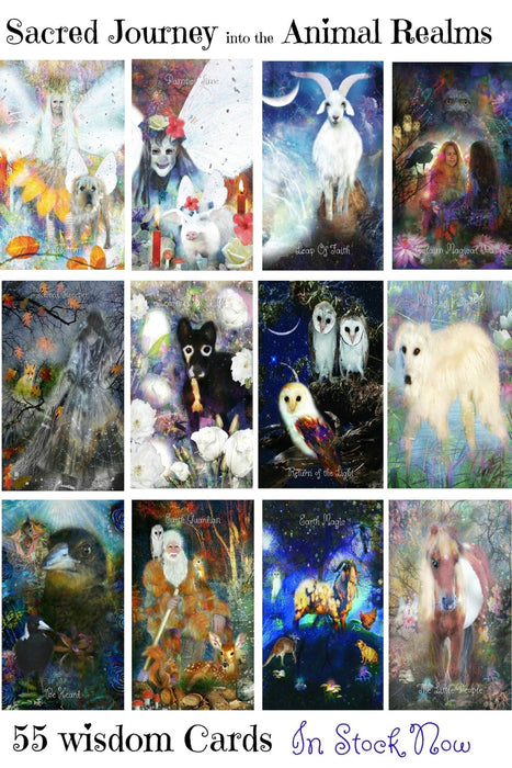 Sacred Journey into the Animal Realms Paperback – Kye Crow (preloved käytetty)(Australia import) - Tarotpuoti