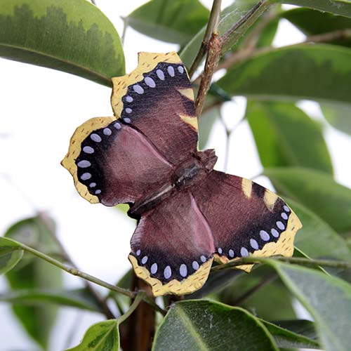 Suruvaippa Camberwell perhos magneetti, puusta käsin kaiverrettu - Tarotpuoti