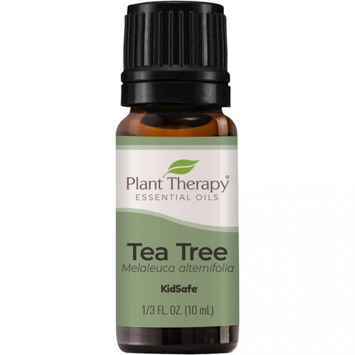 Tea Tree Essential Oil 10 mL - Plant Therapy - Tarotpuoti