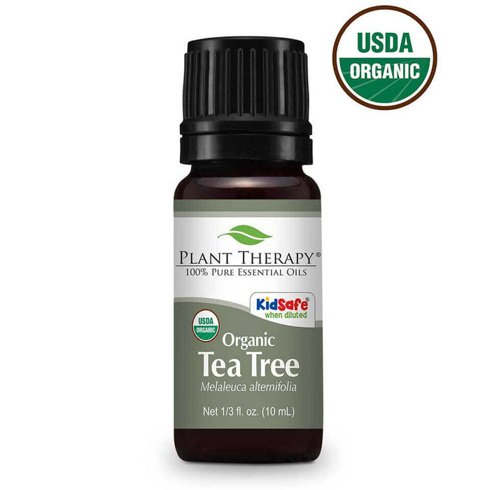 Tea Tree organic eteerinen öljy 10ml - Plant Therapy - Tarotpuoti