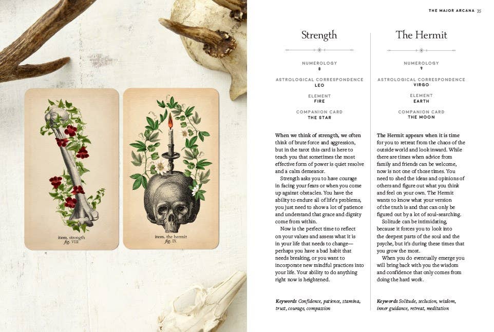 The Antique Anatomy Tarot Kit: Deck and Guidebook for the Modern Reader - Claire Goodchild (import) - Tarotpuoti