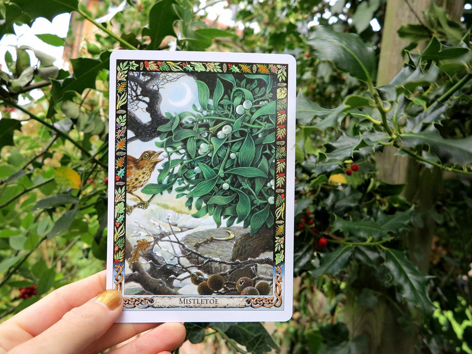 The Druid Plant Oracle: Working with the Magical Flora of the Druid Tradition - Tarotpuoti