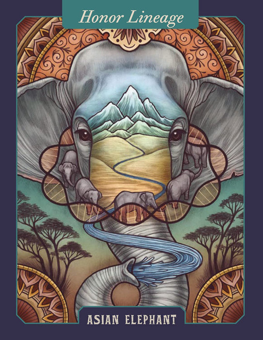The Illustrated Bestiary Oracle Cards: 36-Card Deck of Inspiring Animals (Wild Wisdom) - Maia Toll, Kate O'Hara - Tarotpuoti