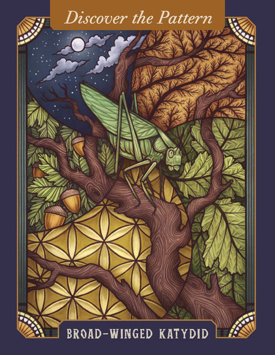 The Illustrated Bestiary Oracle Cards: 36-Card Deck of Inspiring Animals (Wild Wisdom) - Maia Toll, Kate O'Hara - Tarotpuoti
