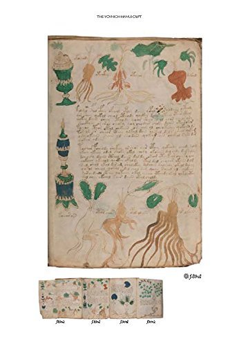 The Voynich Manuscript : The Complete Edition of the World' Most Mysterious and Esoteric Codex - Tarotpuoti